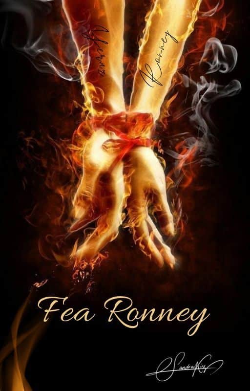 «Fea Ronney 1 : mafioso romance» de Sandra kiss 45