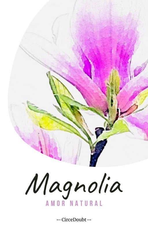 «Magnolia - Amor natural» de Circe Doubt