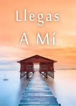 «Llegas A Mí» de Ana Sofía