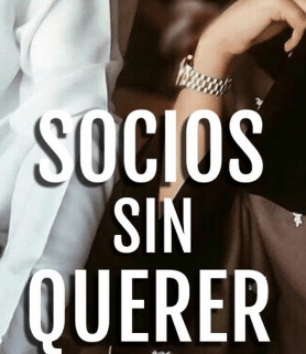 «Socios Sin Querer» de S. Dal Santo
