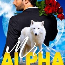 «Mr Alpha» de Carmessy Iglesias